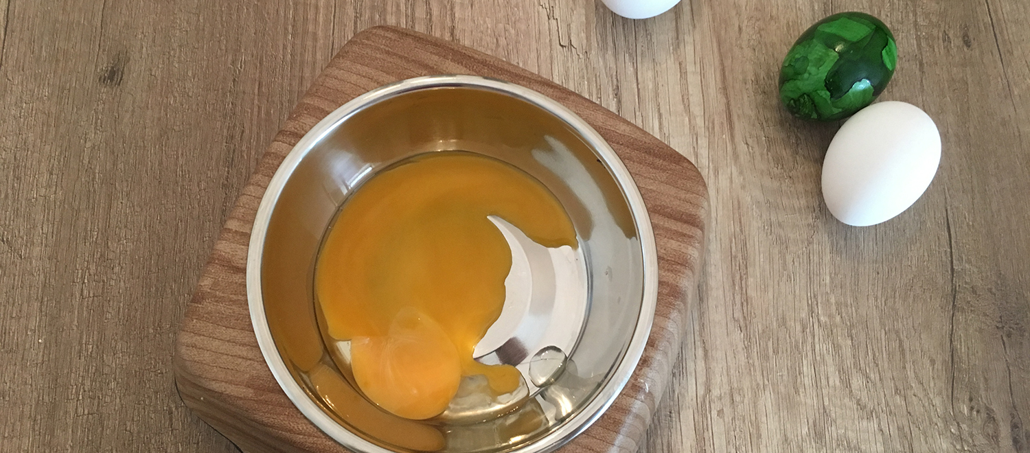 Dürfen Hunde Eier essen? pug style Blog mit Mops